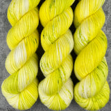 Hand dyed merino yarn