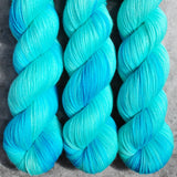 Hand dyed merino yarn